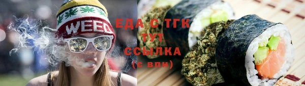 гидра Анжеро-Судженск