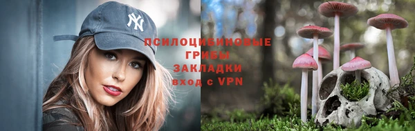 гидра Анжеро-Судженск