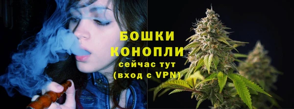 соль ск Арсеньев