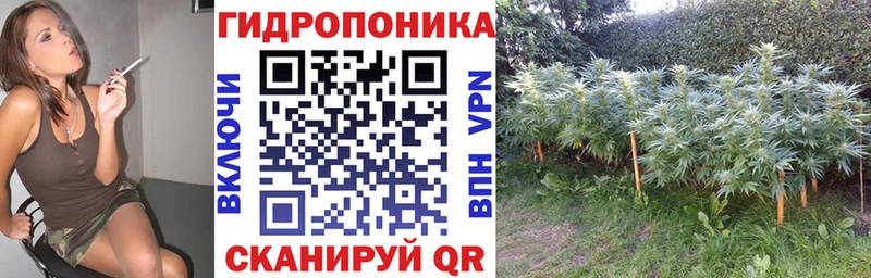 Конопля планчик Балашов